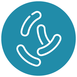 legionella control